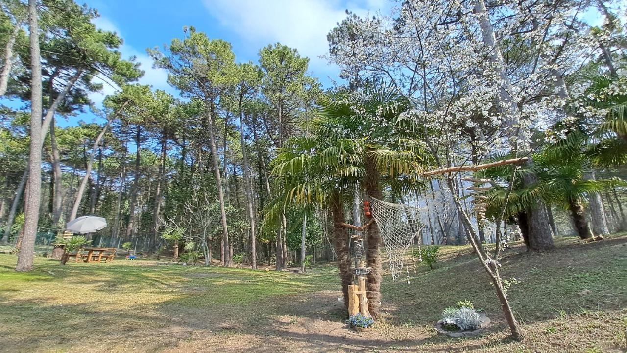 Villa Barbara Fra I Pini Lignano Sabbiadoro Extérieur photo